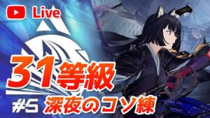 【アークナイツLIVE】31等級を諦めずに深夜にコソ練する 『8号競技場』危機契約#5 【明日方舟／Arknights】