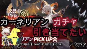 [アークナイツ]愛してるよカーネリアン[灯火序曲][  明日方舟- Arknights]