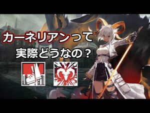 【アークナイツ大陸版】カーネリアン簡易解説付き使用例