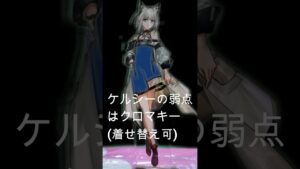 【アークナイツ】ケルシーの弱点