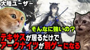 血掟テキサスを初めて使った時の猫【アークナイツ】