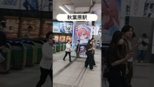 秋葉原駅アークナイツ #アークナイツ